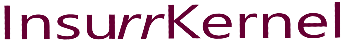 InsurrKernel